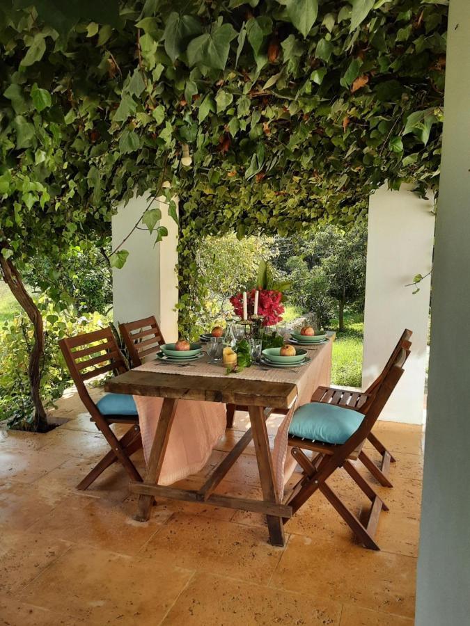 Finca Can Paci Santa Eularia des Riu Exteriör bild
